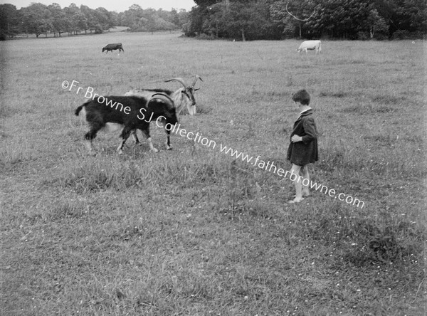 GIRL WITH GOAT